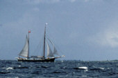 klassischer Segler bei Aero im Dänischen Inselmeer bei heftiger See